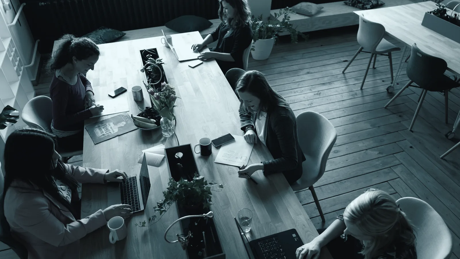 The IQ Finance team